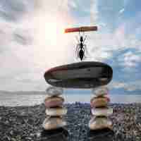 语﻿音﻿识‌别﻿基‌本﻿流​程﻿